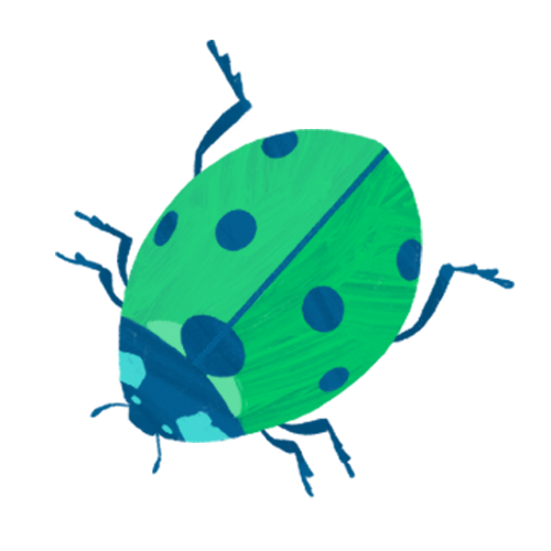 ladybug icon