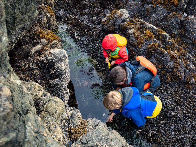 students examining a tidepool