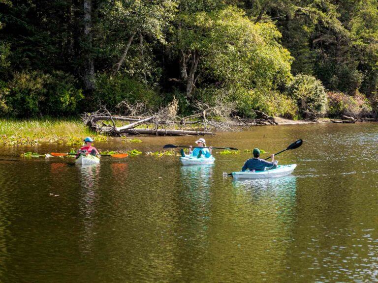 kayakers on Coffenbury Lake