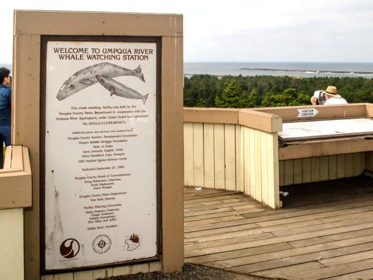 Whale watching platform on the Oregon Coast