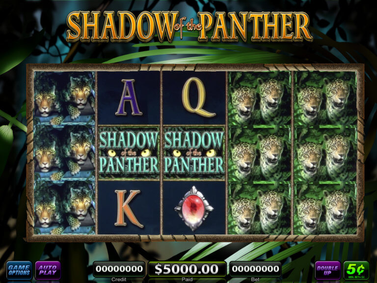 Shadow of the Panther