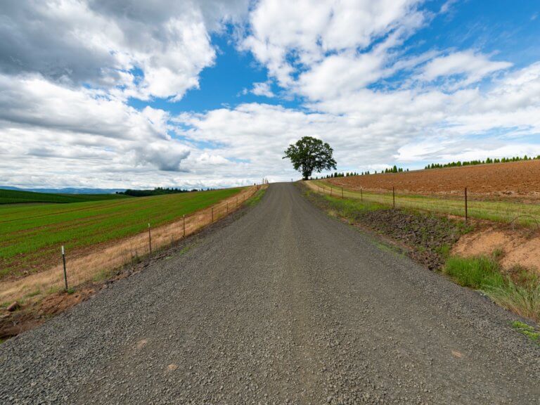 gravel road extending to the horizon